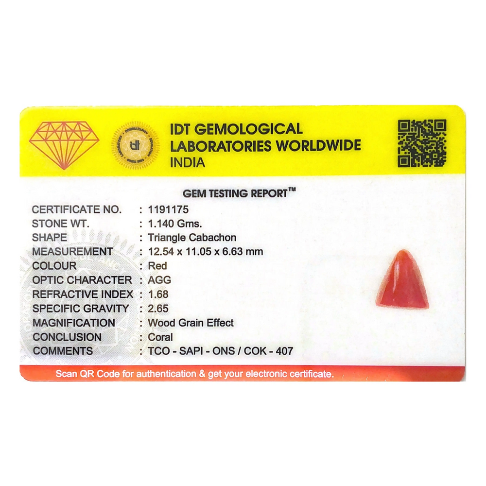 Red Coral - 5.7 Carat