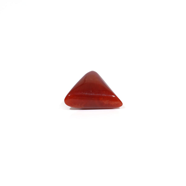 Red Coral - 5.95 Carat