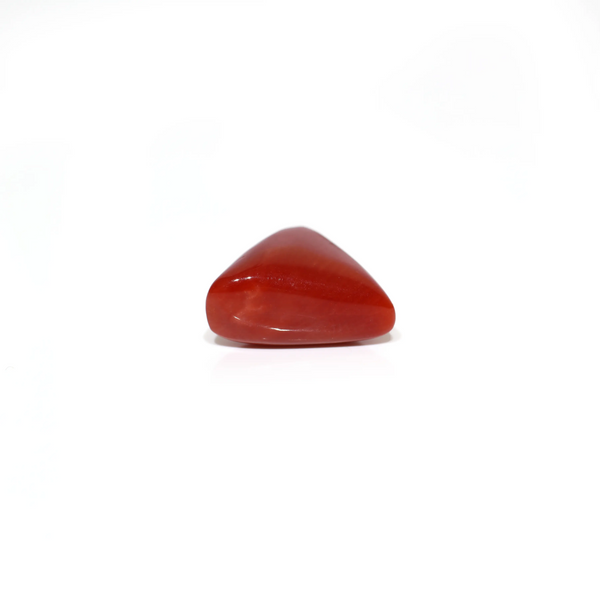 Red Coral - 5.65 Carat