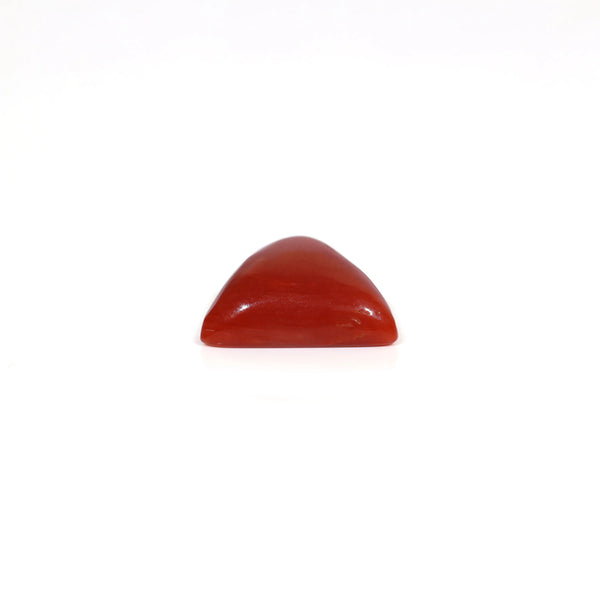 Red Coral - 6 Carat