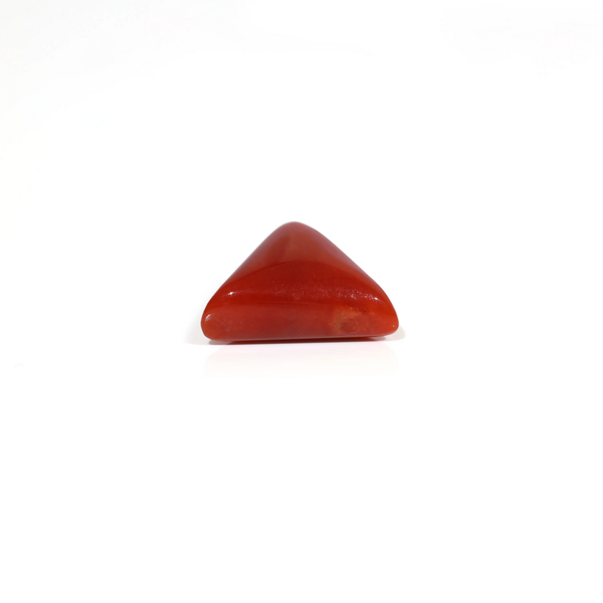 Red Coral - 6.05 Carat