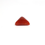 Red Coral - 6.05 Carat