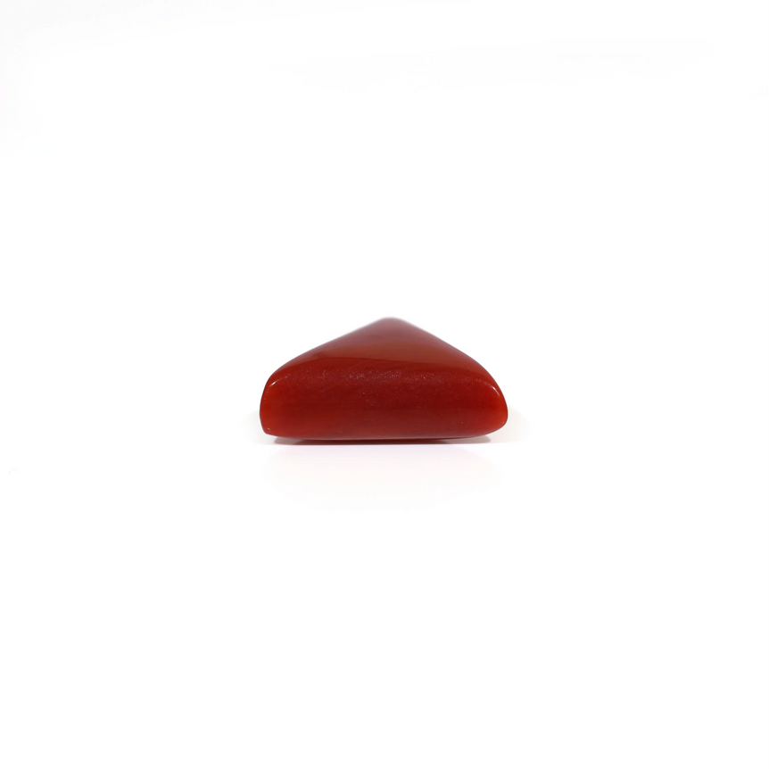 Red Coral - 5.25 Carat