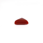 Red Coral - 5.25 Carat