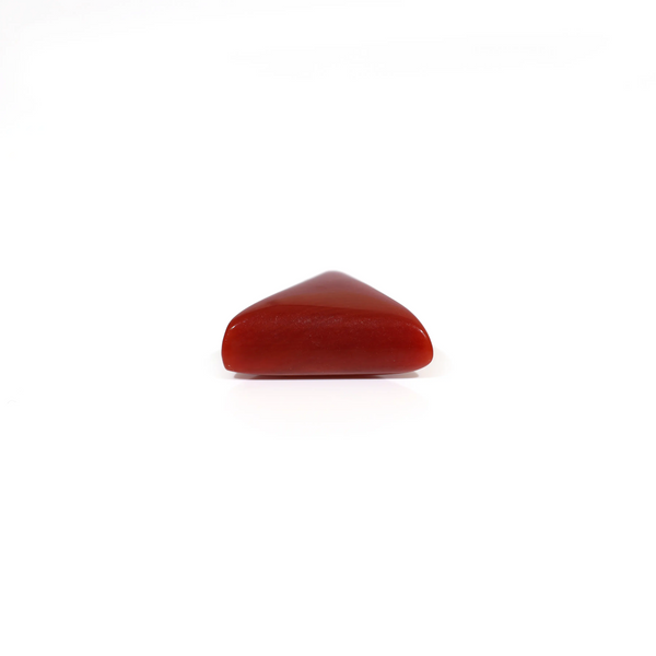 Red Coral - 5.25 Carat