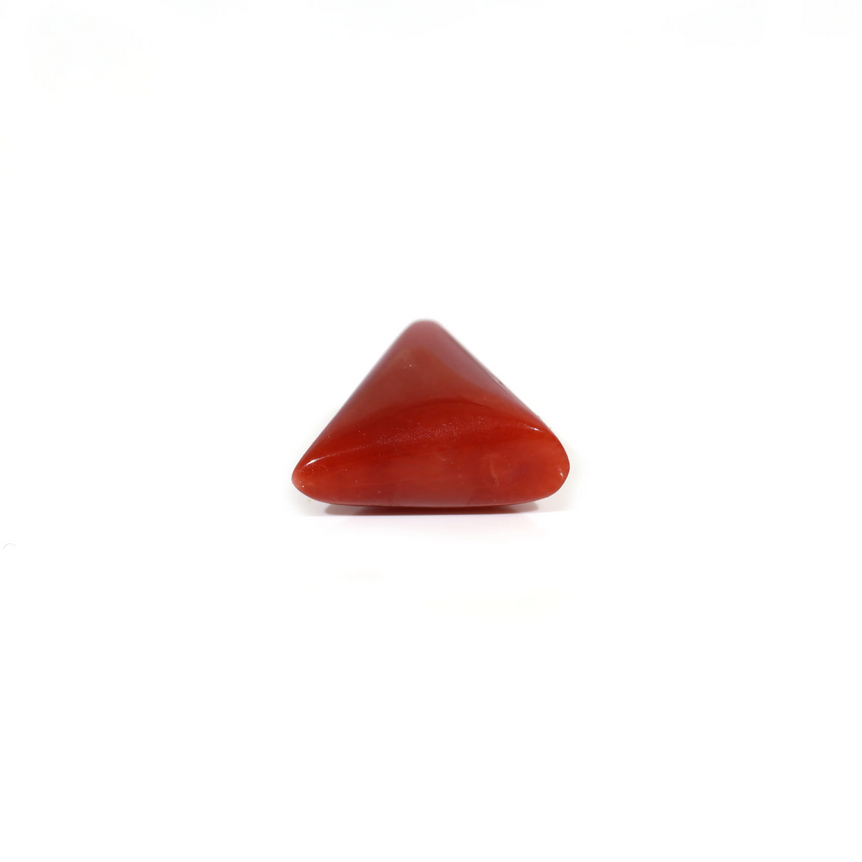 Red Coral - 5.3 Carat