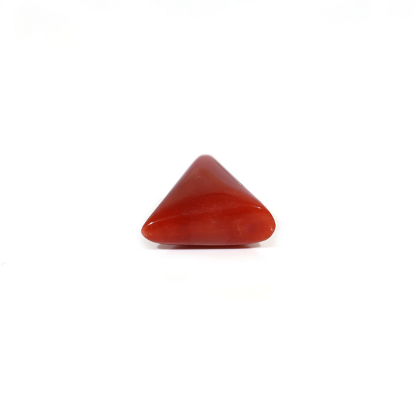 Red Coral - 5.3 Carat