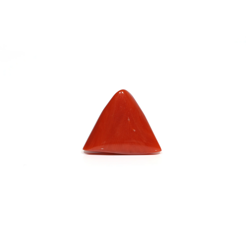 Red Coral - 9.55 Carat