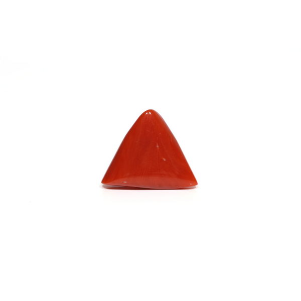 Red Coral - 9.55 Carat
