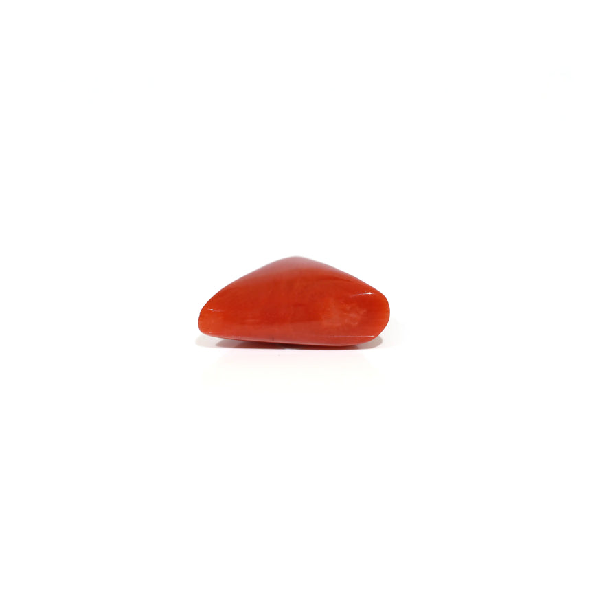 Red Coral - 9.55 Carat