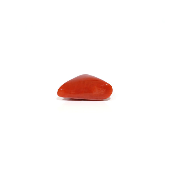 Red Coral - 9.55 Carat