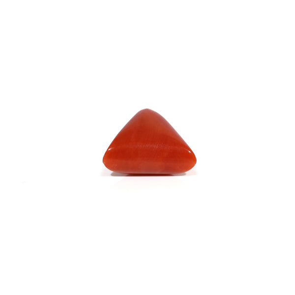 Red Coral - 8.5 Carat