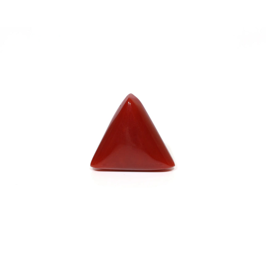 Red Coral - 8.25 Carat