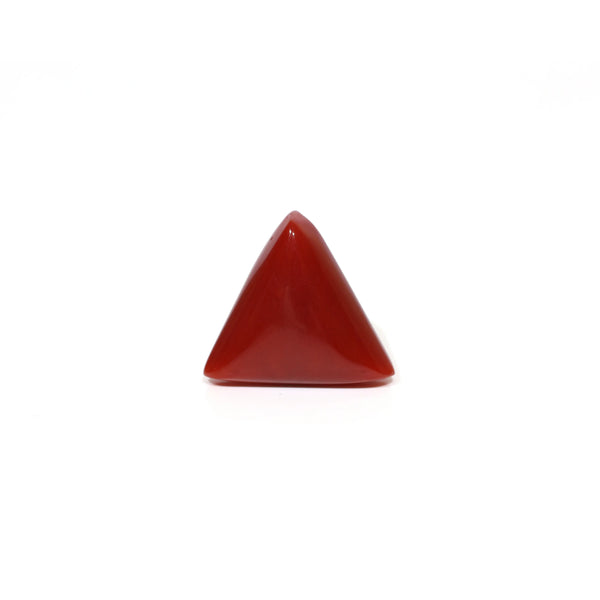 Red Coral - 8.25 Carat