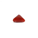 Red Coral - 8.25 Carat