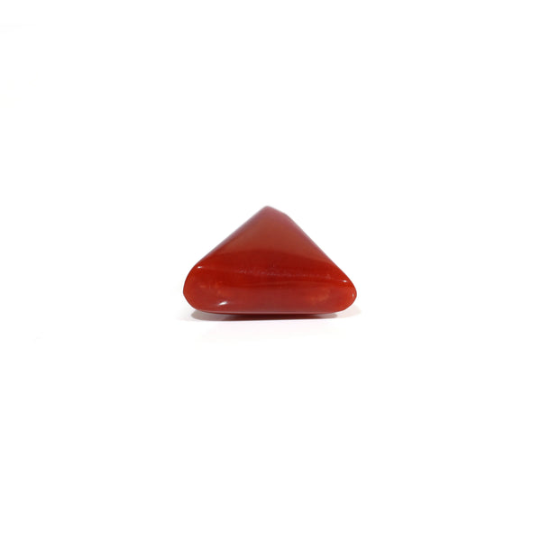 Red Coral - 8.25 Carat