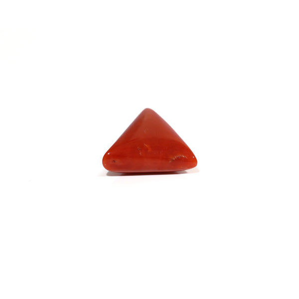 Red Coral - 10.7 Carat