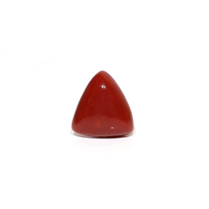 Red Coral - Moonga - 15.95 Carat - Pramogh