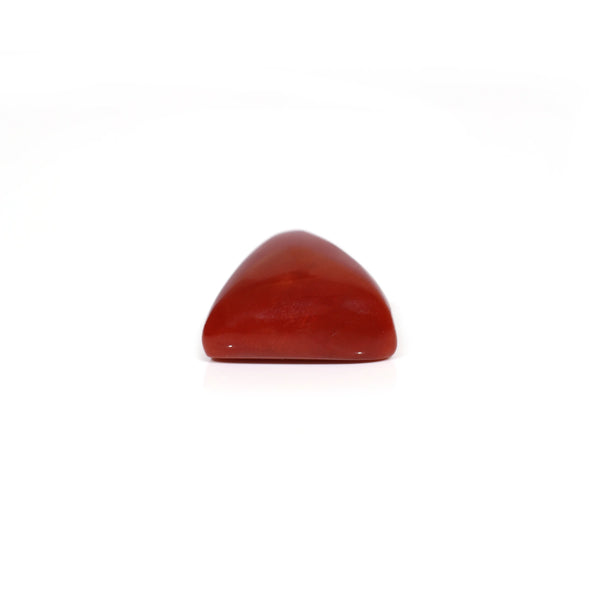 Red Coral - 15.95 Carat