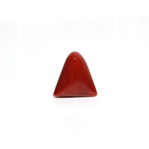 Red Coral - Moonga - 8.1 Carat - Pramogh