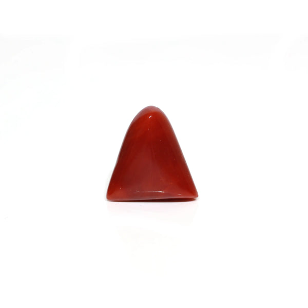 Red Coral - 8.1 Carat