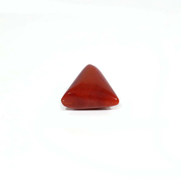 Red Coral - 8.1 Carat