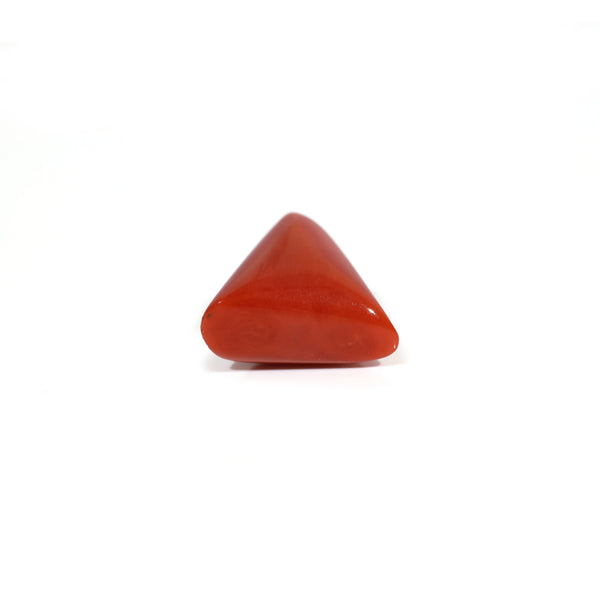 Red Coral - 12.15 Carat