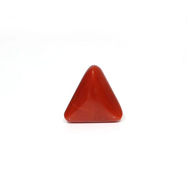 Red Coral - 8.25 Carat