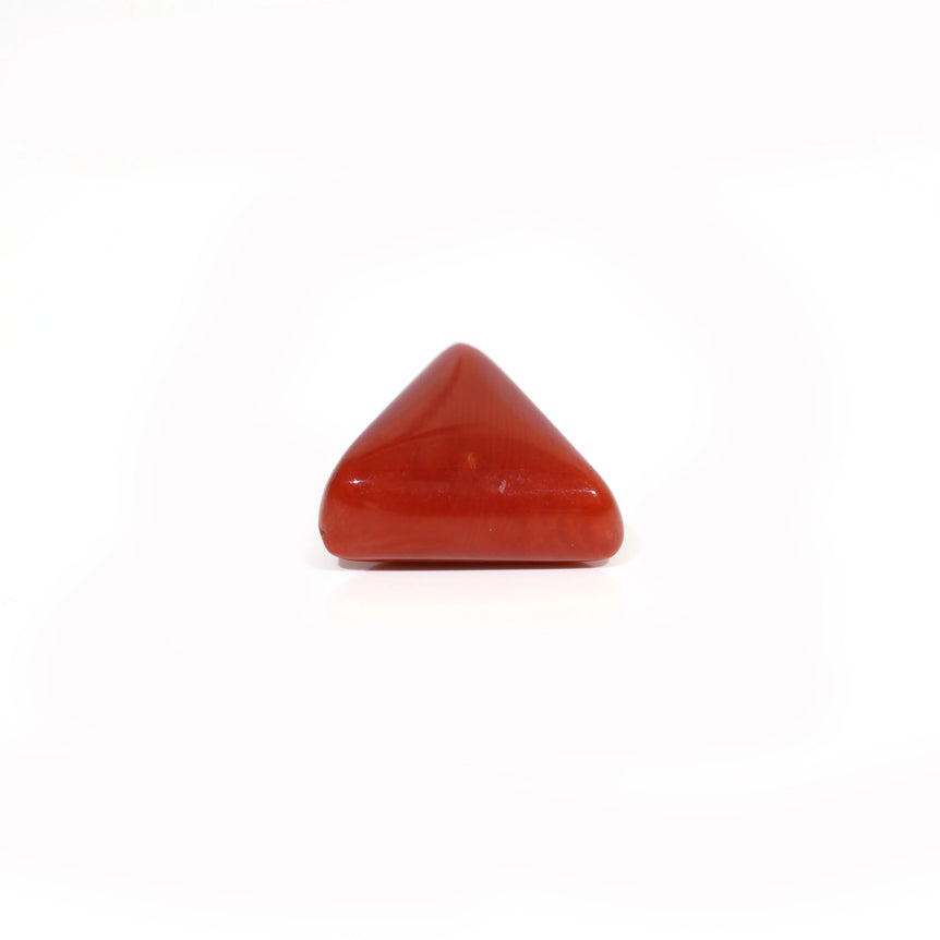 Red Coral - 8.25 Carat