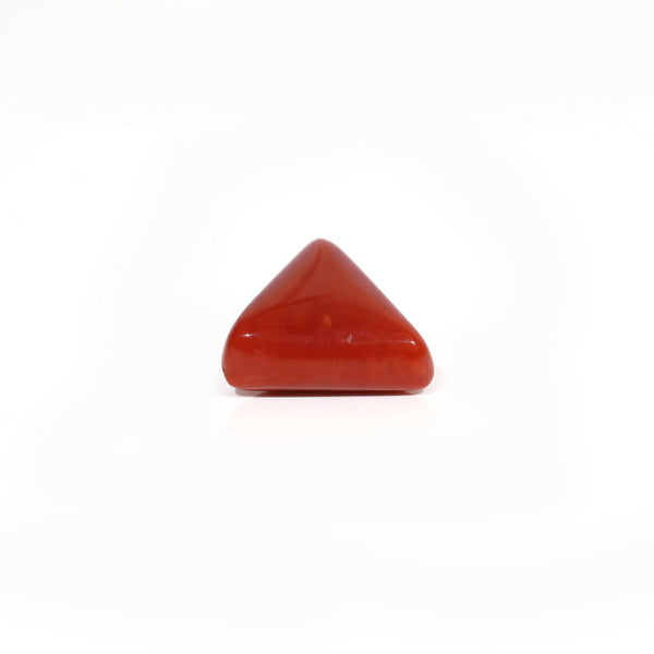 Red Coral - 8.25 Carat