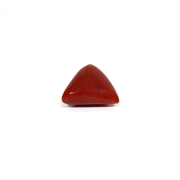 Red Coral - 9.65 Carat
