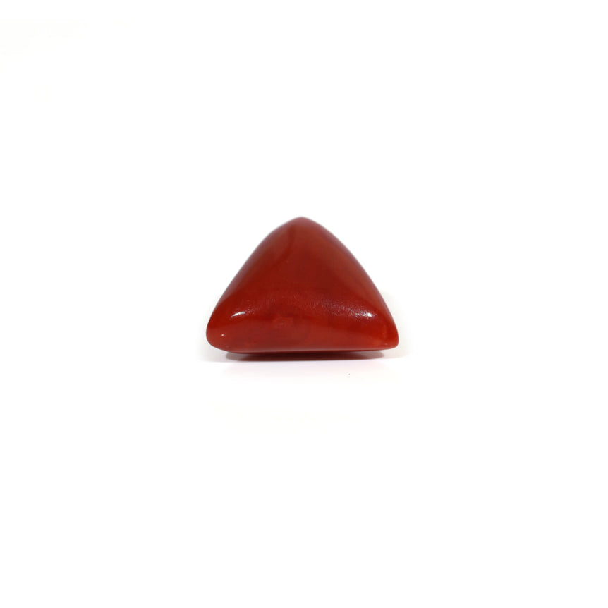 Red Coral - 10.85 Carat