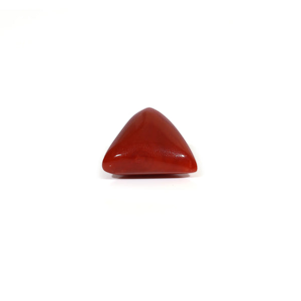 Red Coral - 10.85 Carat