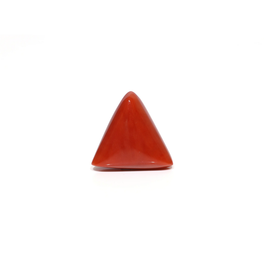 Red Coral - 14.35 Carat