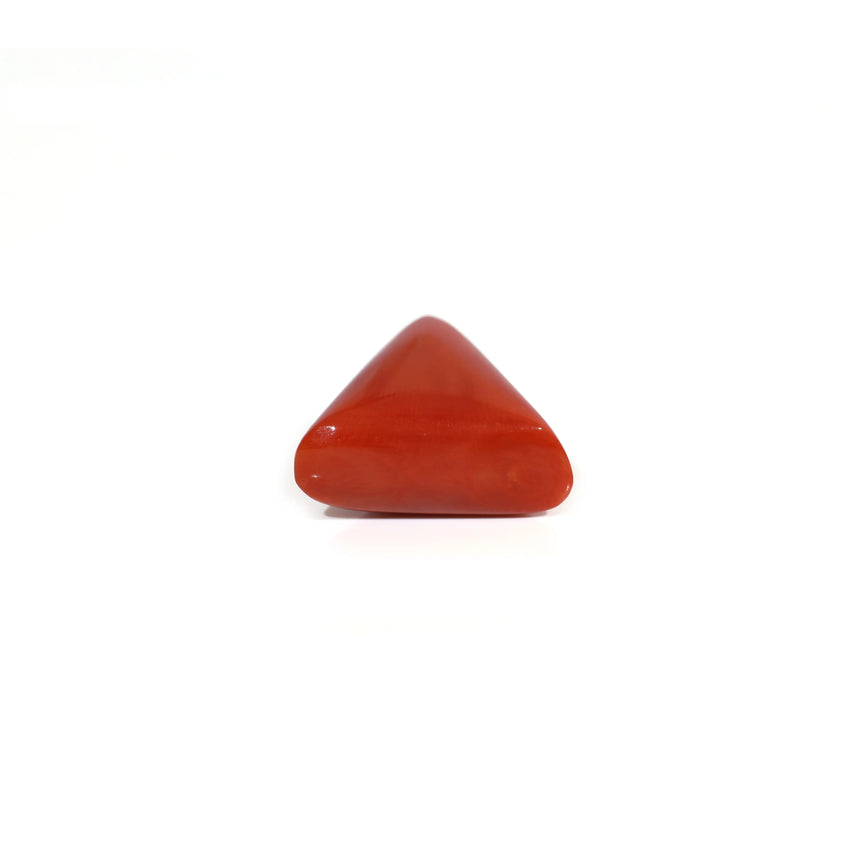 Red Coral - 14.35 Carat
