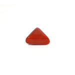 Red Coral - 14.35 Carat
