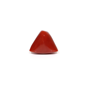 Red Coral - Moonga - 11.35 Carat - Pramogh