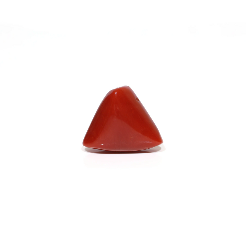 Red Coral - 11.35 Carat