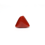 Red Coral - 11.35 Carat