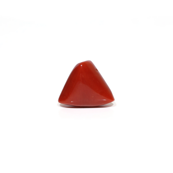 Red Coral - 11.35 Carat
