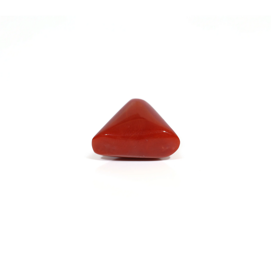 Red Coral - 11.35 Carat