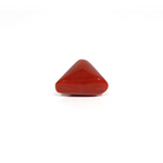 Red Coral - 11.35 Carat
