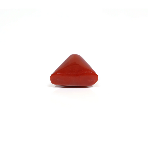 Red Coral - 11.35 Carat