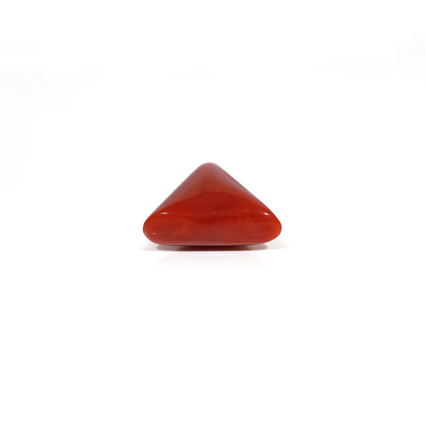 Red Coral - 10.6 Carat