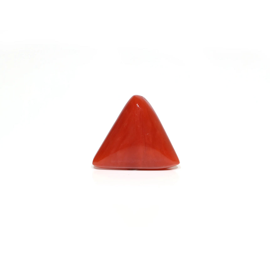 Red Coral - Moonga - 9.1 Carat - Pramogh