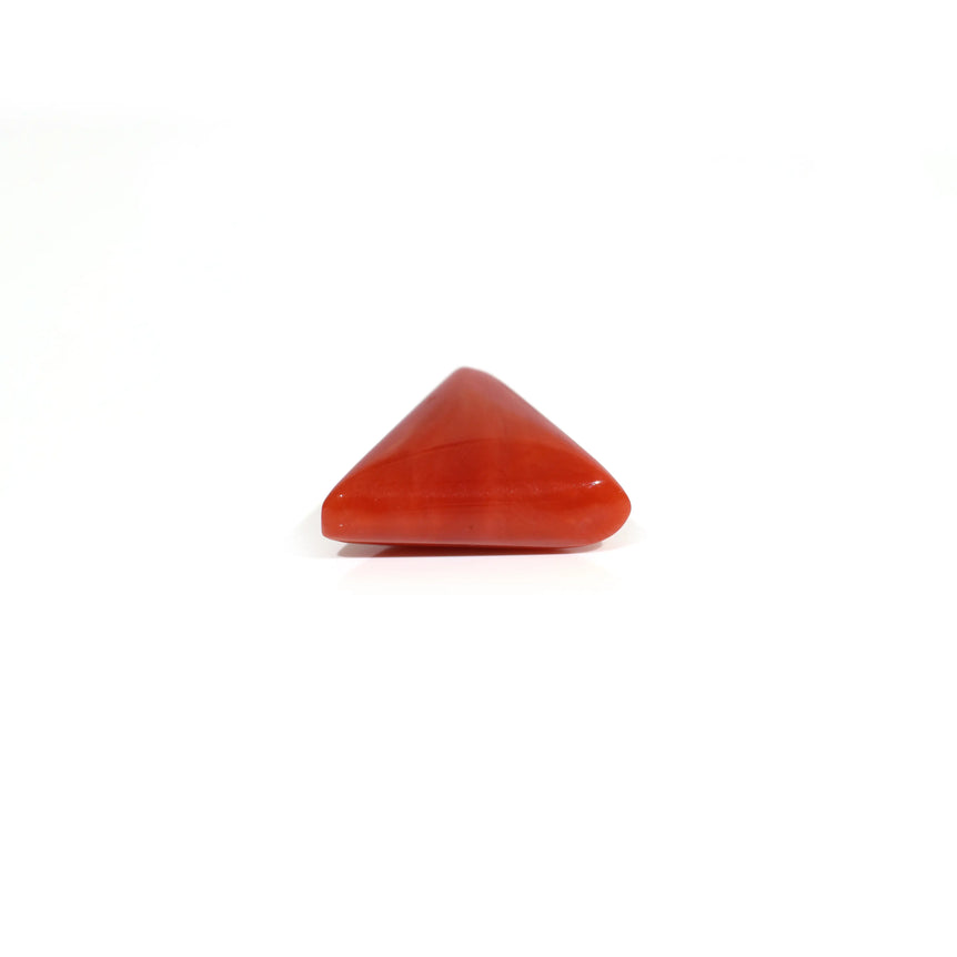Red Coral - 9.1 Carat