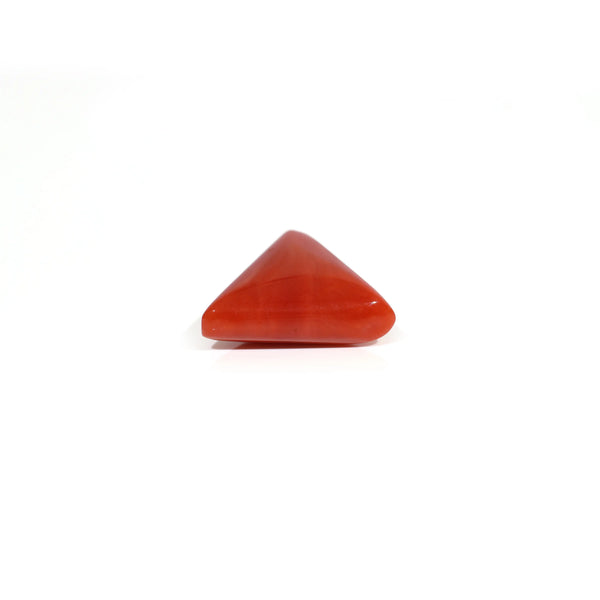 Red Coral - 9.1 Carat
