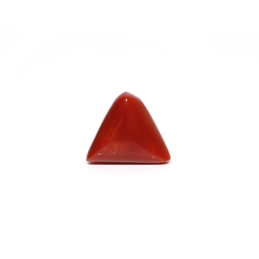 Red Coral - 9.25 Carat