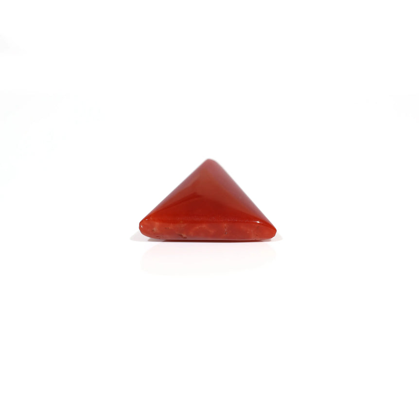 Red Coral - 7.9 Carat