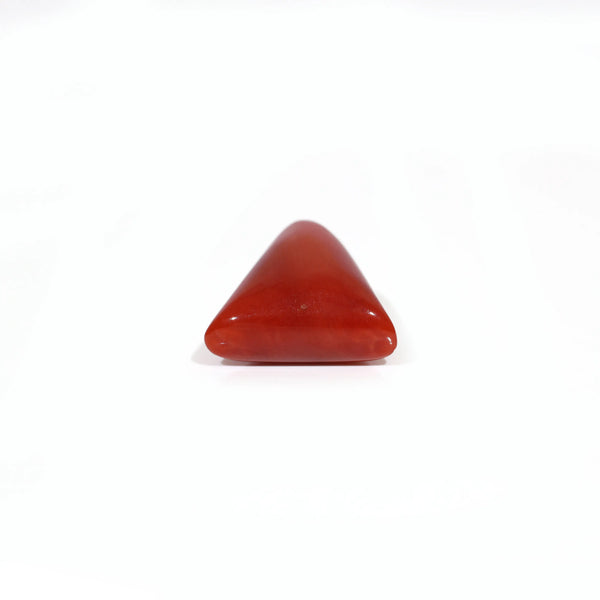 Red Coral - 8.4 Carat